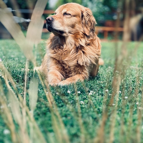 Meet your Posher, Matthew - Picture 3 of 4